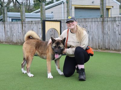 Kieri | Akita | Glasgow - 5