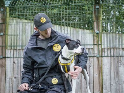 Missy | Terrier (Staffordshire Bull) | Loughborough - 3