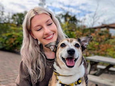 Xander, a 12 years old male Jack Russell Terrier available for adoption from Dogs Trust in Wales