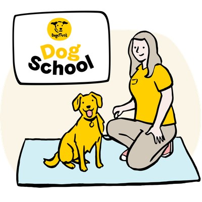 Illustration of a dog attending dog school
