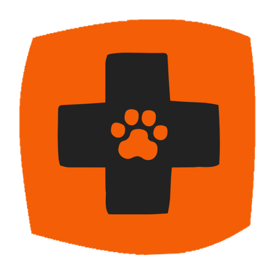 Veterinary cross icon on orange background
