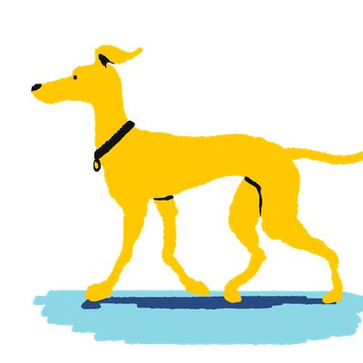 illustration of a large yellow sighthound walking