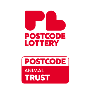 new postcode lottery logo with red coloured lettering