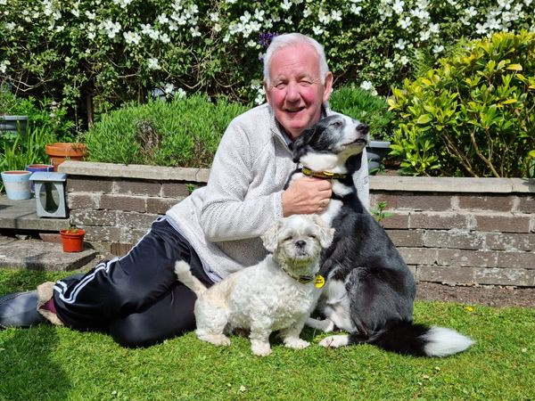 Foster Carer sitting with two dogs in a private garden