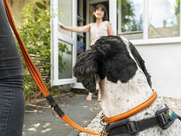 Dog on lead, looking to woman standing in doorway