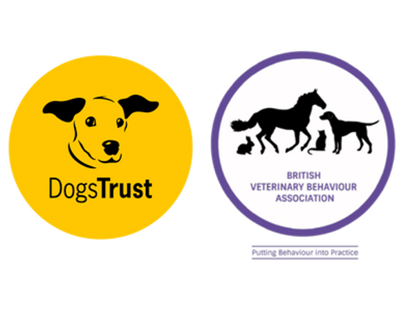 Dog Friendly Clinics