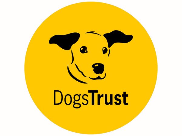 Dogs Trust logo
