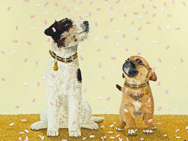 Wedding favours card featuring a jack russell terrier and a tan crossbreed puppy sitting with confetti falling on them.