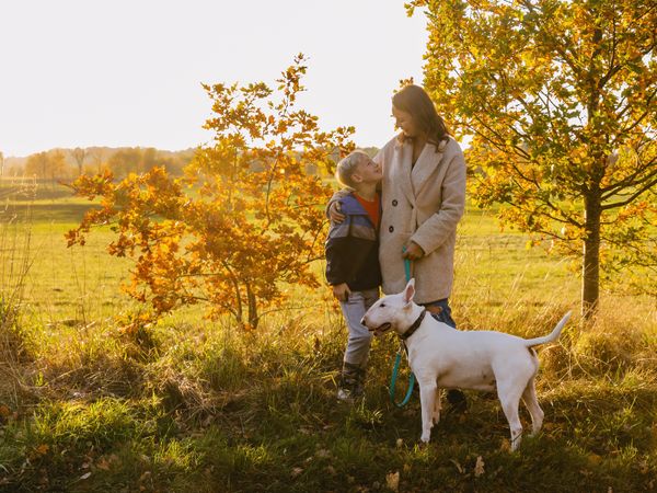 White Bull Terrier dog standing in a park with a woman and a little boy. 