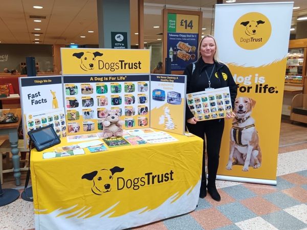 A photo of a lady standing by a Dogs Trust stall in a shopping centre
