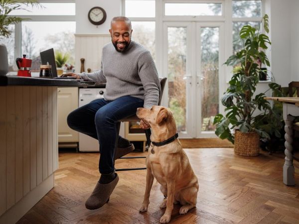 man sitting on a barstool in a kitchen, looking down smiling and stroking a golden labrador