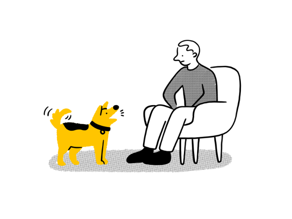 illustration of a small yellow dog barking at a man confused sitting down on a chair