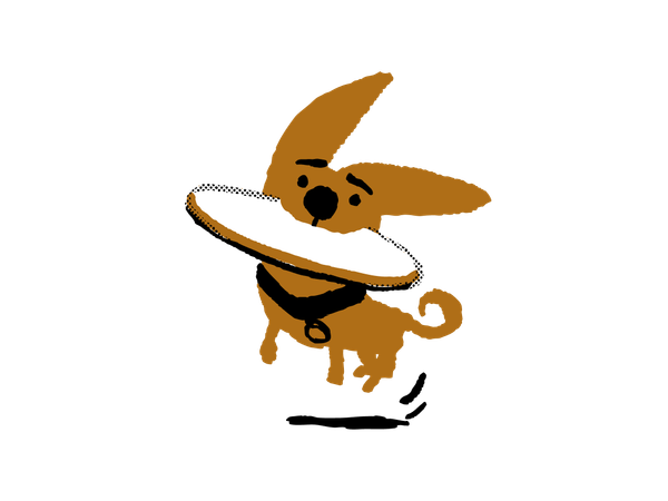 Illustration of dog catching a frisbee