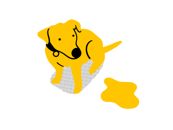 Illustration of a yellow dog standing next to a puddle of yellow urine