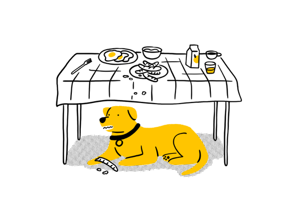 illustration of an adult dog growling under a table of food with a sausage in front of him