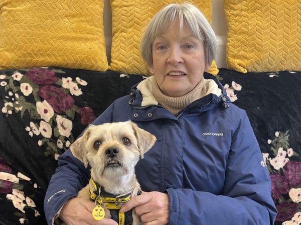 An elderly lady sitting with a senior crossbreed dog looking at the camera