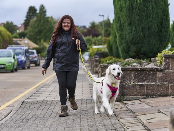 a lady walking a golden retriever adult dog down a street