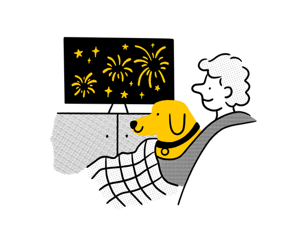 An illustration of an owner and their dog sitting under a blanket watching fireworks on television - both dog and owner are smiling.