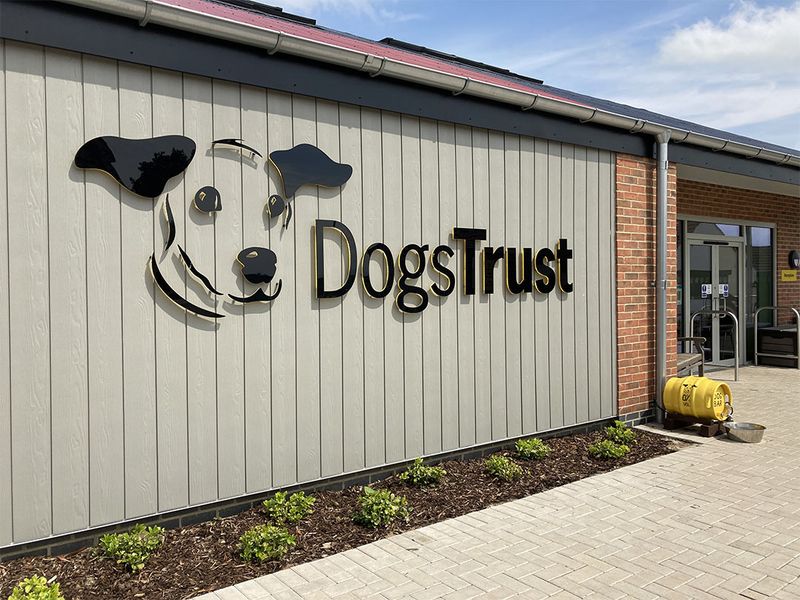 Canine Rescue Animal Rescue Centres South West Animal Shelters In