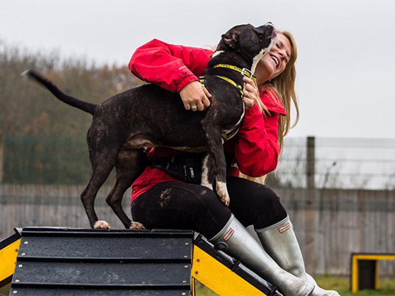 Darlington Rehoming Centre exterior with Canine Carer and dog