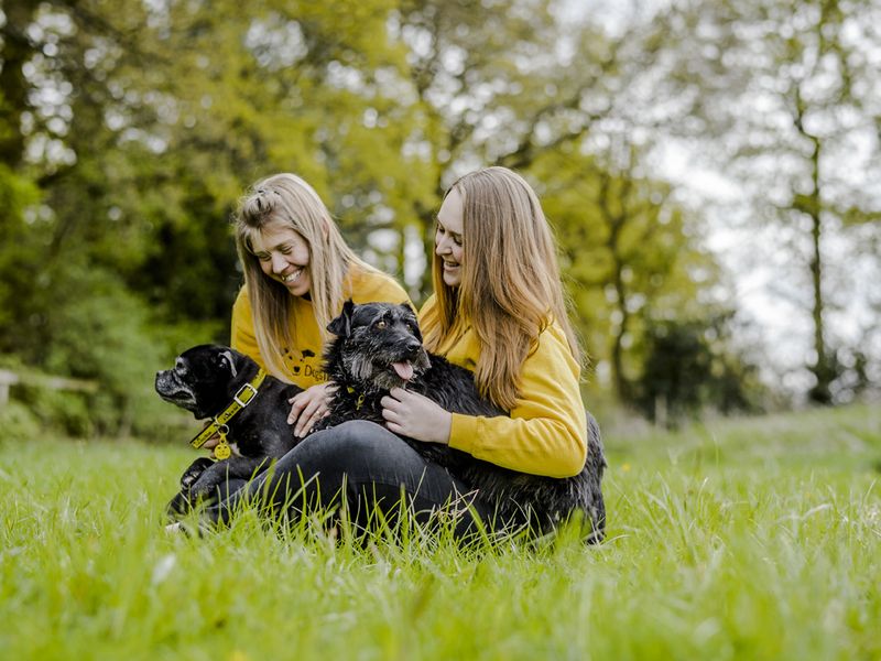 Two Canine Carers sitting with dogs outside Kenilworth Rehoming Centre