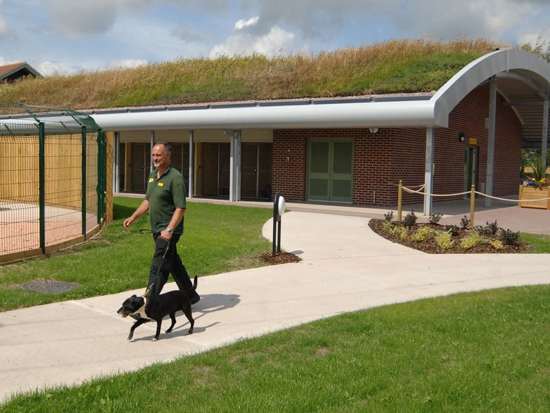 Shrewsbury Rehoming Centre exterior at grass run