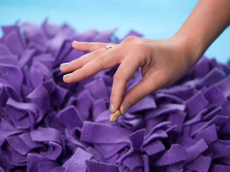 Close up of someone's hand dropping treats into a snuffle mat