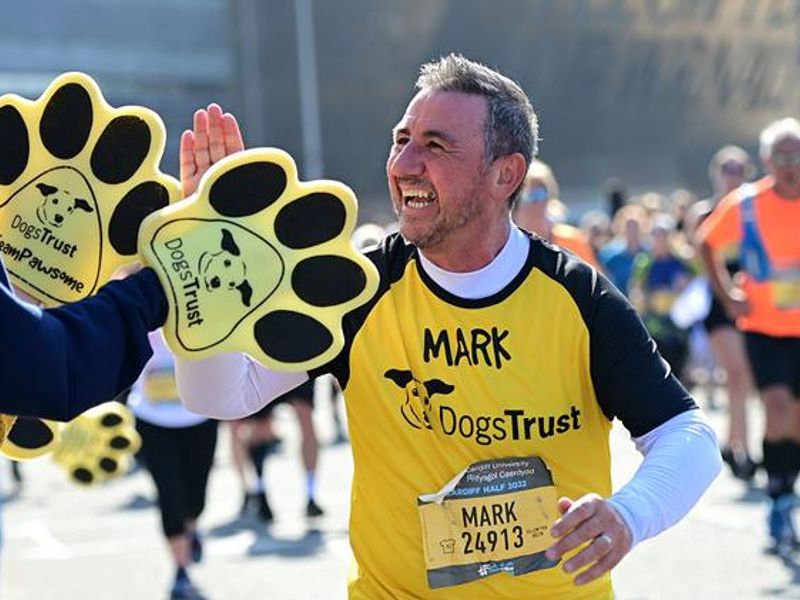 Cardiff Half Marathon runner gets a high five 