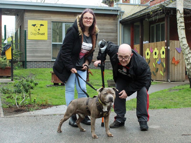 Kilo the Staffie with his new family outside Merseyside Rehoming Centre