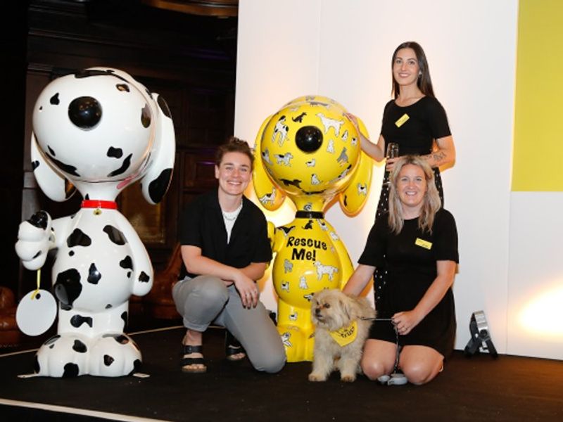 The Rescue Me Snoopy sculpture set to stay at Dogs Trust Cardiff