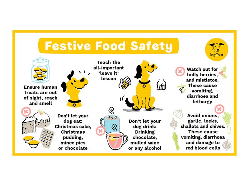 Festive food safety infographic