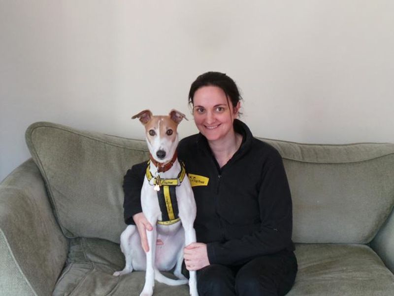 Lara the Supporter Relations Officer with Ruby the Whippet
