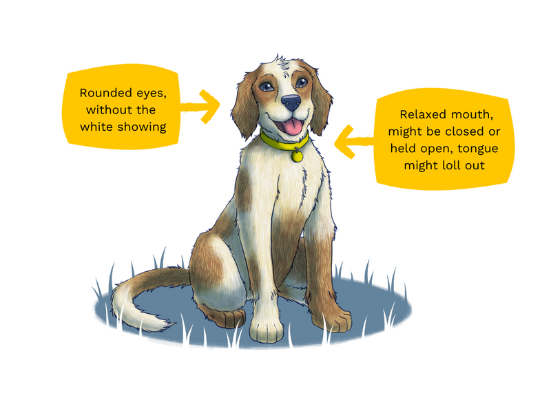 Illustration of a dog sitting down with relaxed body, rounded eyes and relaxed mouth