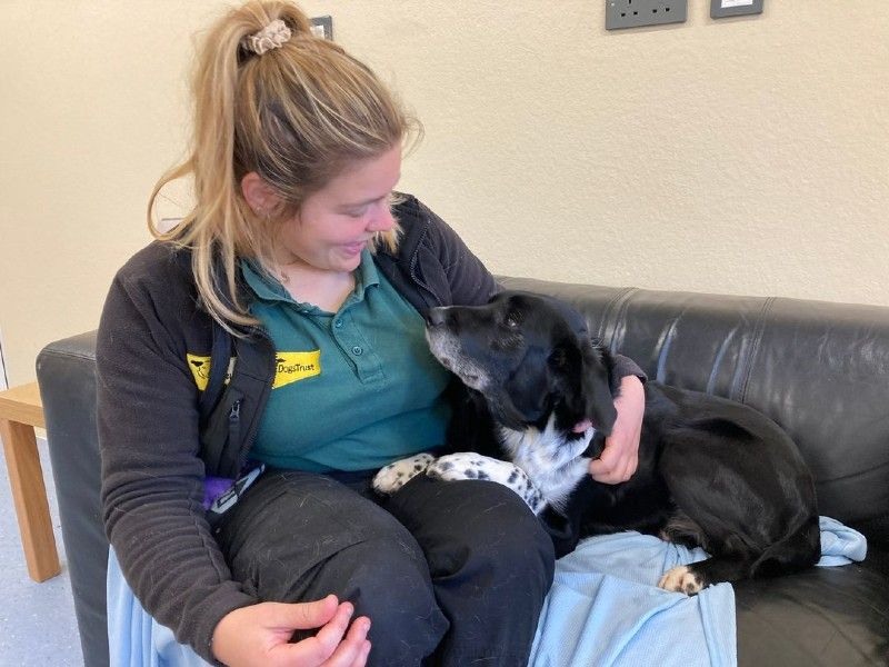 Michelle the Canine Carer with Shane the anxious dog