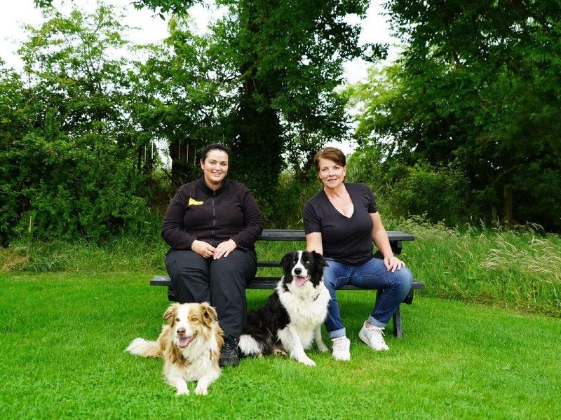 Home From Home Volunteer Assistant Dogs Trust
