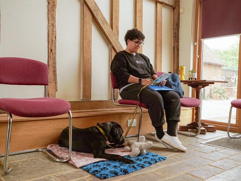 labrador and owner looking at leaflet in waiting room
