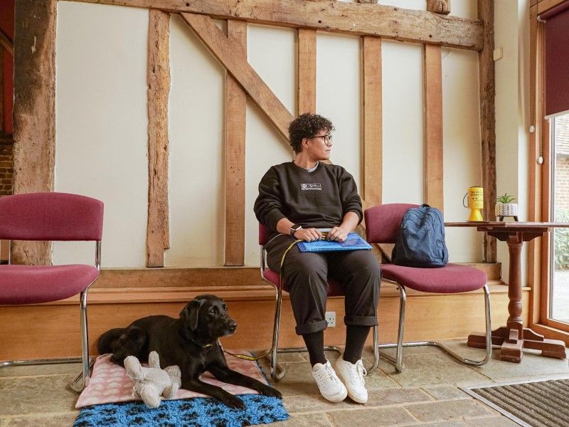 labrador and owner looking away in waiting room