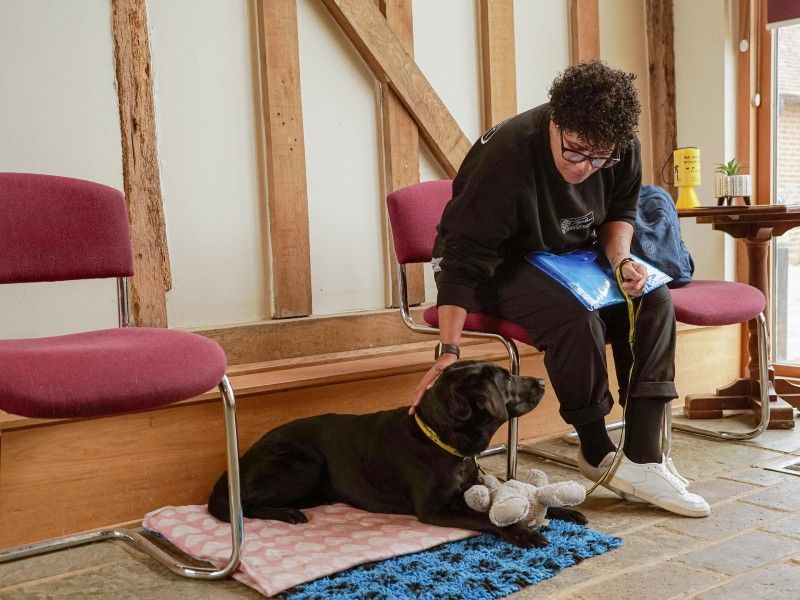 owner petting labrador in waiting room