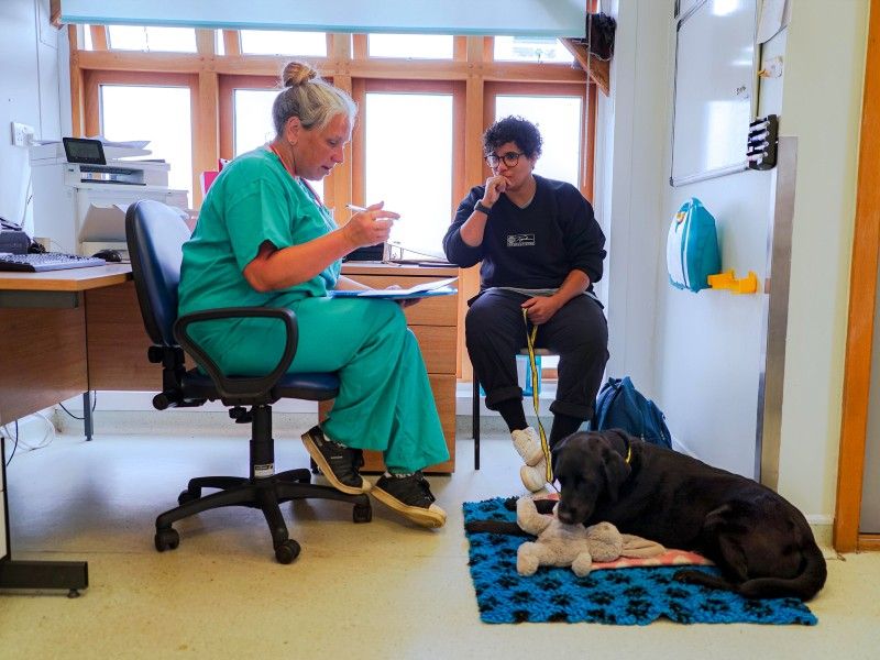 vet going through form with owner in consult room