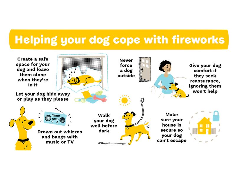 what to do during fireworks