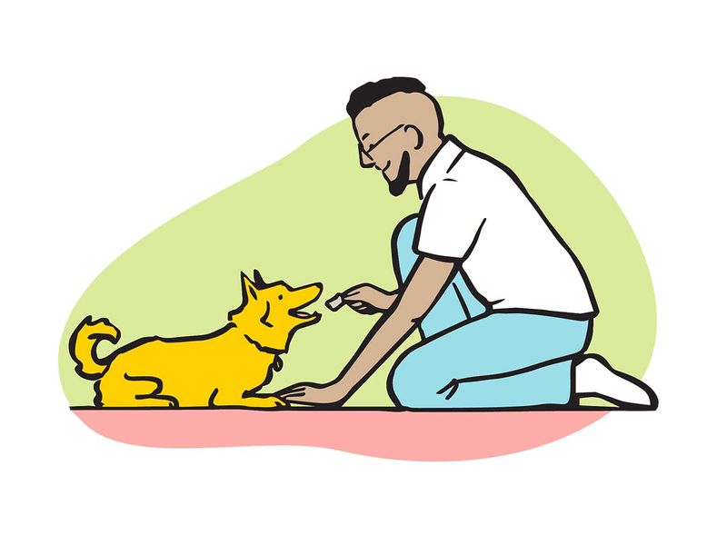 How to clip your dog's nails | Dogs Trust