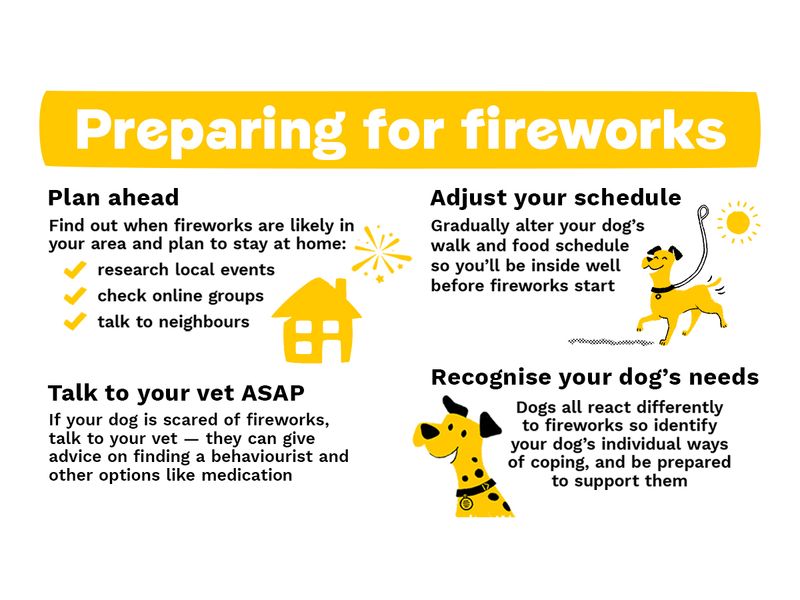 preparing for fireworks 