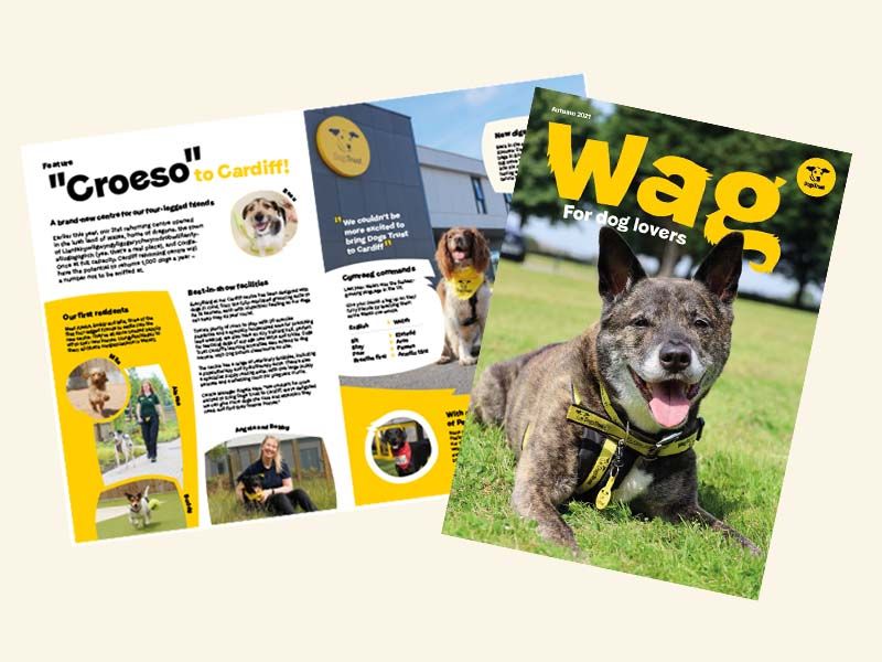 wag magazine 2021 cover and pages 