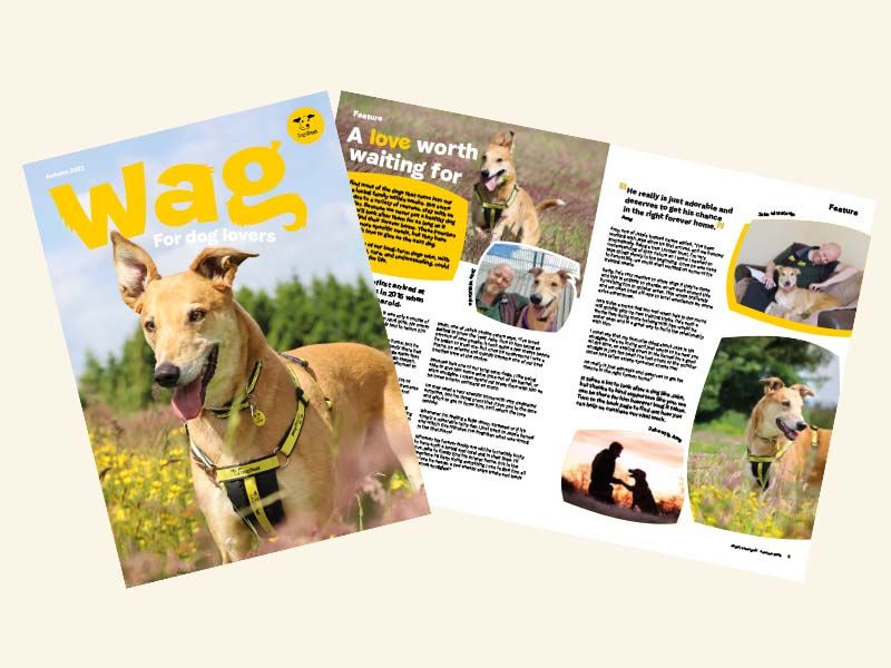 wag magazine 2022 cover and pages