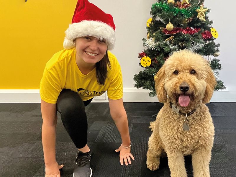 Spike the Poodle exercising with a Dogs Trust team member 
