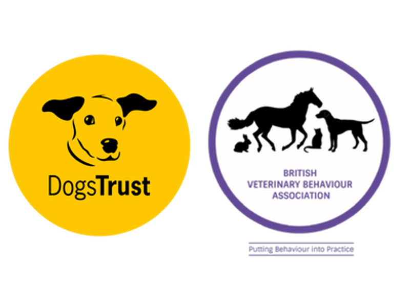 Dog Friendly Clinics