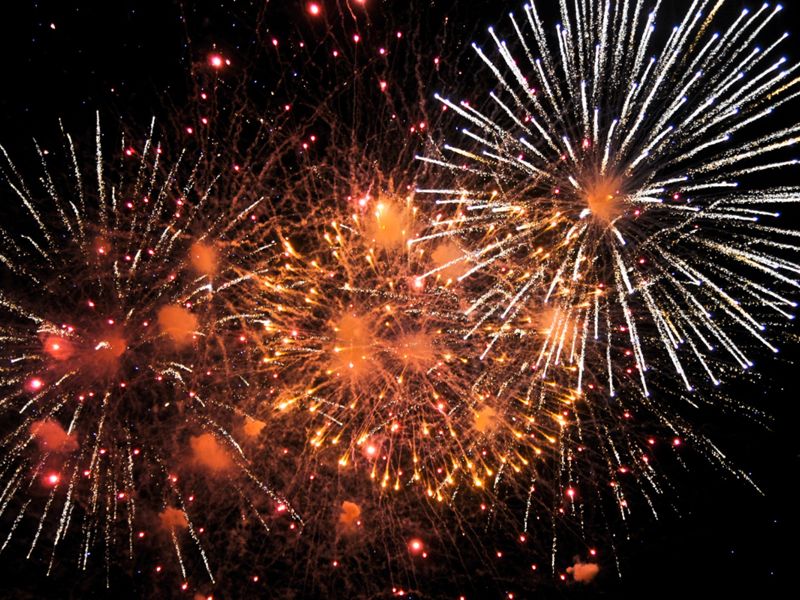 Fireworks against night sky