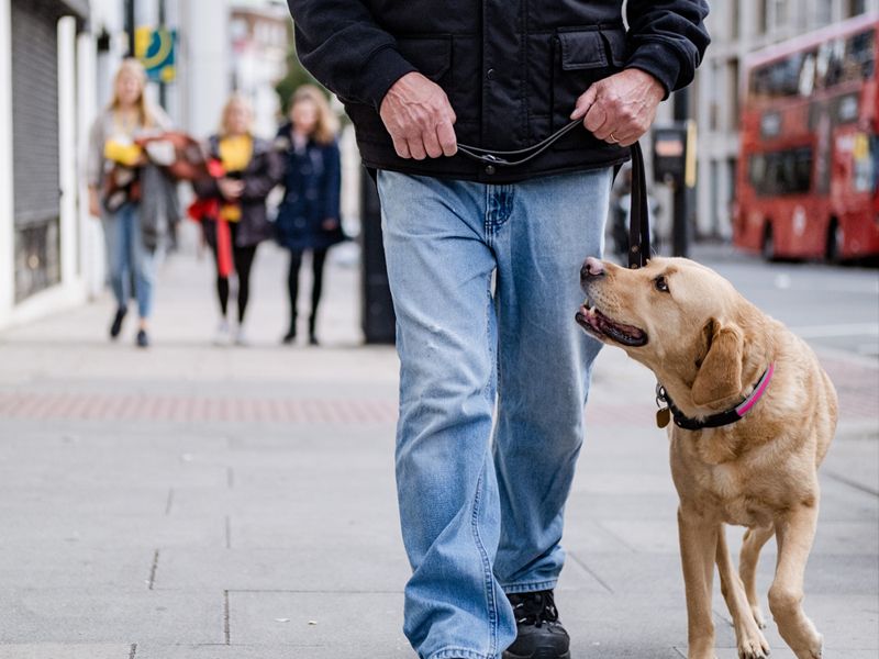 Dog and owner experiencing homelessness