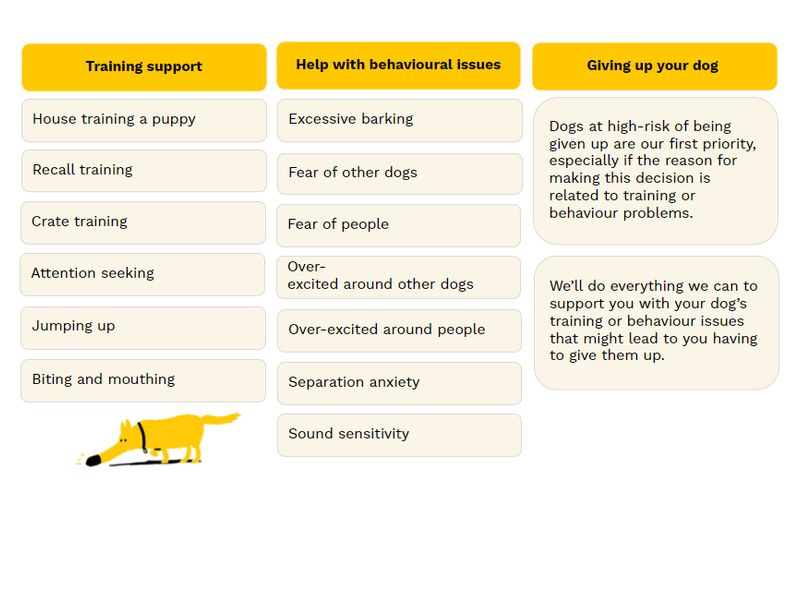 Here are a few examples of the challenges we help with: House training a puppy; Recall training; Crate training; Jumping up; Biting and mouthing; Excessive barking; Separation anxiety; Giving up your dog advice