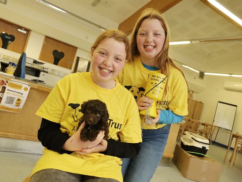 Tilly (front) and twin sister Hattie met puppy Olive when they went to our Leeds to hand over the money they raised. They are smiling wearing Dogs Trust's yellow t-shirts. 